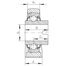 直立式軸承座單元 RASEL60-N, 鑄鐵軸承座，浮動(dòng)軸承，內(nèi)圈有驅(qū)動(dòng)槽，R 型密封